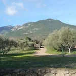 Carestella *