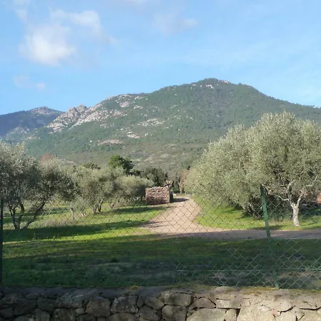 Carestella *